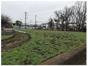 横浜市泉区上飯田町4717-1　上飯田町貸地②