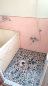 日野市多摩平5-5-7 池野ビル